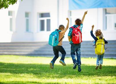 Минпросвещения: учебный год в российских школах не будет закончен досрочно