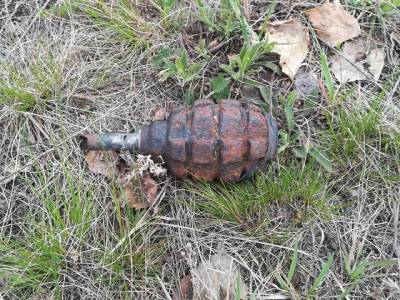 Житель Челябинской области нашел гранату у родника