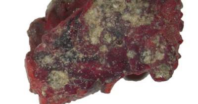 Геологи обнаружили “запрещенный” кристалл на месте взрыва атомной бомбы - focus.ua - штат Нью-Мексико