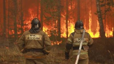 Алексей Карнаухов - Климатологи предрекли летом природную катастрофу в российских регионах - 5-tv.ru