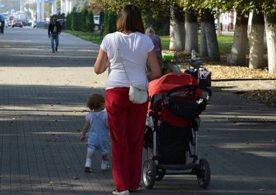 Госдума приняла поправки о мерах поддержки семей с детьми