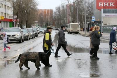 Систему учета домашних животных разработают в России до конца года