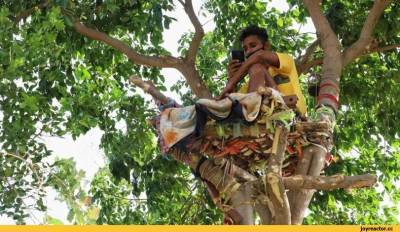 Заболевший коронавирусом индиец провёл 11 дней в «гнезде» на дереве, чтобы не заразить родных
