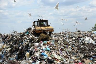 В Оленинском округе ликвидировали большую несанкционированную свалку отходов