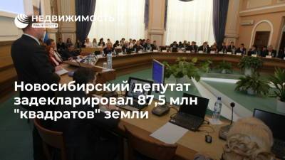 Новосибирский депутат задекларировал 87,5 млн "квадратов" земли