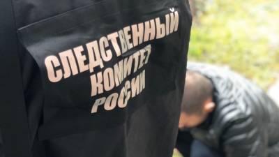 СК РФ сообщил об обнаружении захоронений жертв нацистов в Новгородской области