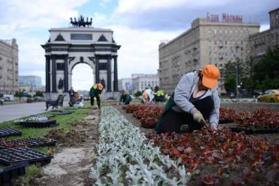 Роскошь майского цветения: в Москве высадят более 54 миллионов декоративных растений