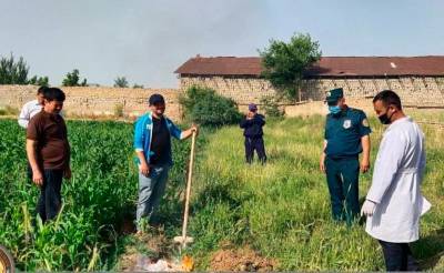 Рога и копыта. В Кашкадарье сожгли 630 кг опасного мяса, которое перевозили в Ташкент