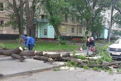 Движение на 1-й Новокузьминской улице восстановлено после уборки поваленного дерева