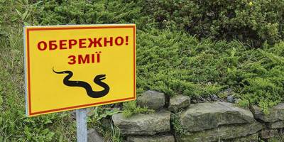 Украинцев кусают змеи, а противозмеиной сыровотки не хватает - детали ЧП в Энергодаре - ТЕЛЕГРАФ