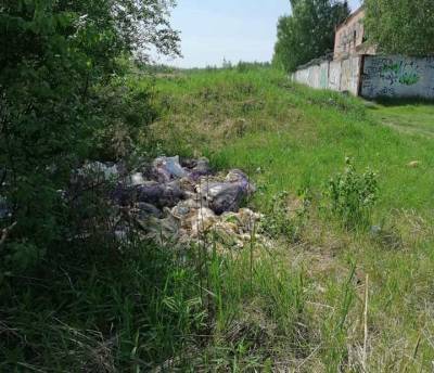 Две свалки гнилой капусты появились на улице Федосеенко в Нижнем Новгороде