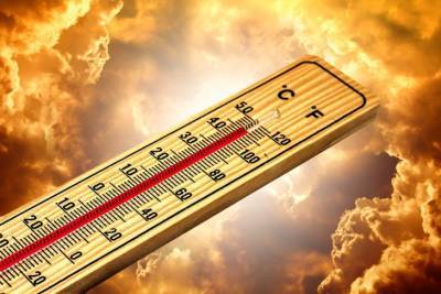 Столбики термометров рванут до +32: синоптик дала прогноз на июнь в Украине