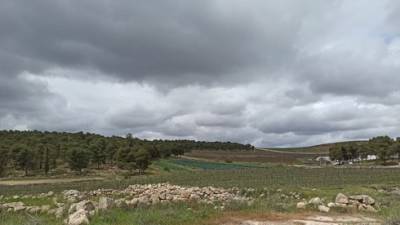 Дожди возвращаются: прогноз погоды в Израиле до конца недели