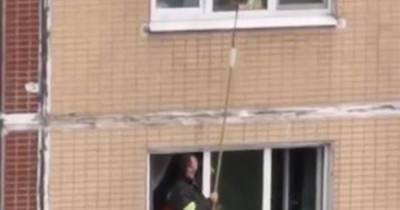 В Москве при помощи швабры спасли застрявшего в окне кота