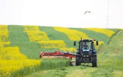 В хозяйствах области в этом году планируют заготовить 1637 тысяч тонн травяных кормов