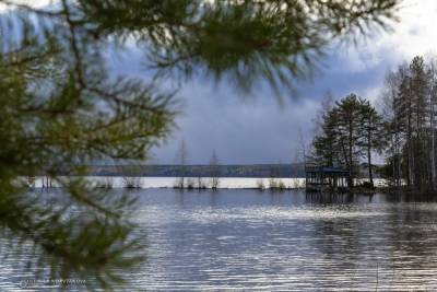 Нежный фоторепортаж: красота озера в Карелии завораживает