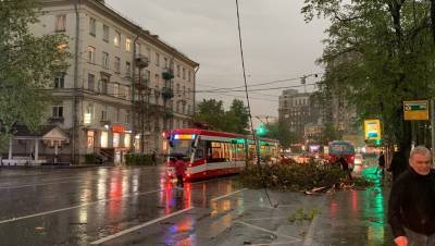 Ураган вырывал деревья и сносил крыши в Петербурге