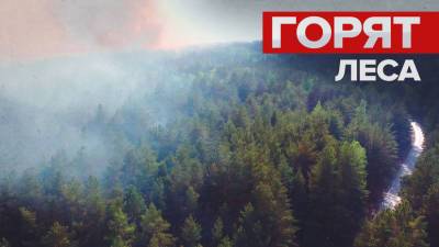 Тушение лесных пожаров в Тюменской области — видео