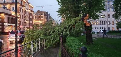 Упавшие деревья, обрушение крыши и штукатурки, вставшие машины — гроза устроила «апокалипсис» в Петербурге