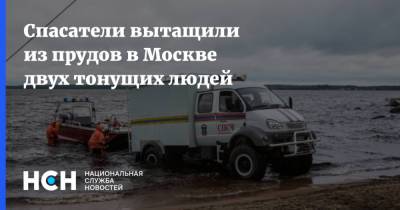 Спасатели вытащили из прудов в Москве двух тонущих людей