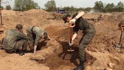 В Новгородской области обнаружили массовое захоронение жертв фашизма