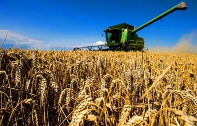 В 2020 году в регионе произвели сельскохозяйственной продукции почти на 53 миллиарда рублей