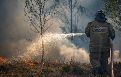 В России за сутки ликвидировали 138 лесных пожаров на 5,1 тыс. га
