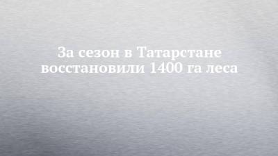 За сезон в Татарстане восстановили 1400 га леса