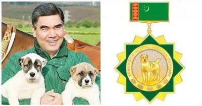 В Туркмении появились звания народного и заслуженного собаковода (4 фото + 1 видео)