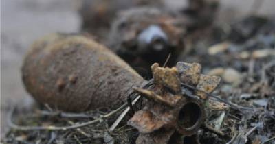 Пять боеприпасов нашли в районе леса под Балтийском, где от взрыва снаряда пострадали дети