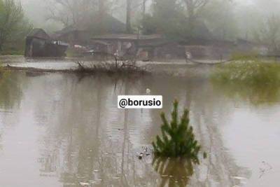 Появились новые фотографии и видео из затопленных сел Ермаковского Шушенского районов Красноярского края