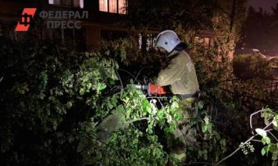 Два человека и 14 автомобилей пострадали от непогоды в Петербурге