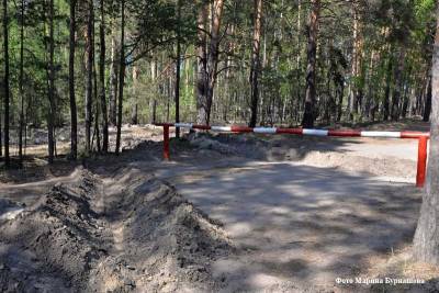 В Курганской области продлен запрет на посещение лесов до 7 июня