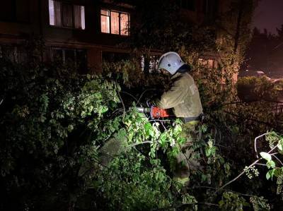 В Петербурге во время вчерашнего урагана пострадали два человека