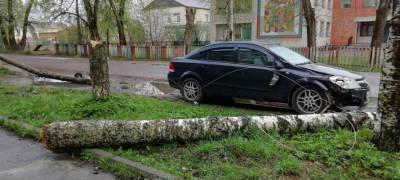 Стихия обрушила дерево на автомобиль в поселке Карелии