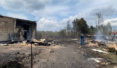 Власти Тюмени окажут помощь пострадавшим от лесных пожаров