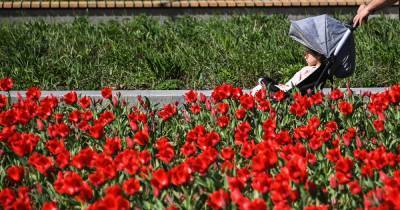 Москвичам перечислили самые «цветущие» парки для красивых фото