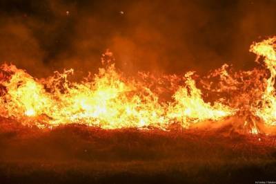 Авиапожарные потушили горящую тайгу в Томской области