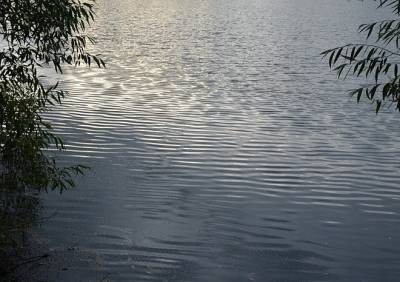 В Рязанской области 17-летний молодой человек утонул в озере