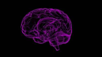 Американские нейробиологи проследили за мыслью через головной мозг