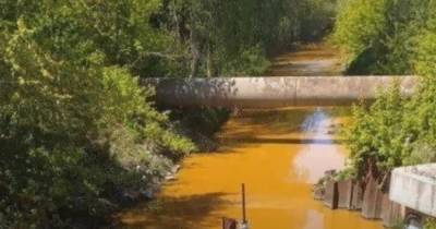 КГГА: в Киеве река Лыбидь стала ярко-желтой из-за ядовитых стоков (видео)