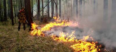 Еще один лесной пожар произошел в Карелии