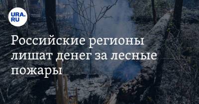 Российские регионы лишат денег за лесные пожары
