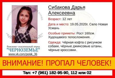 Пропавшую 12-летнюю девочку ищут под Воронежем