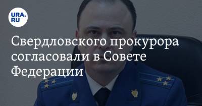 Свердловского прокурора согласовали в Совете Федерации