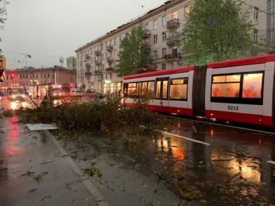 Жителей Петербурга предупредили о новом урагане