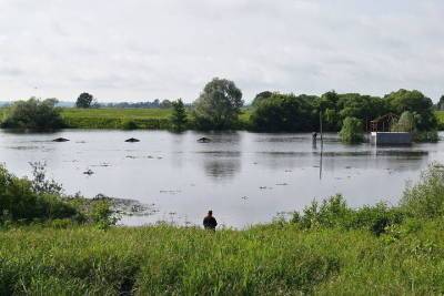 На озере Инякино в Рязанской области утонул 17-летний молодой человек