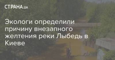 Экологи определили причину внезапного желтения реки Лыбедь в Киеве