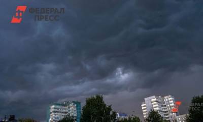 Число пострадавших после грозы в Петербурге выросло до 4 человек
