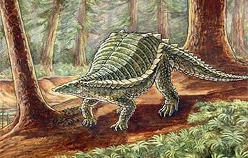 Ученые нашли в Польше животное, похожее одновременно на крокодила, кабана и броненосца